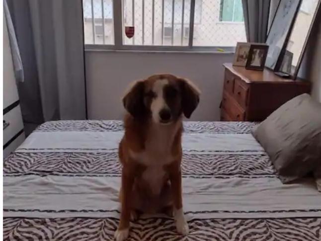 Homestay Conjugado Inteiro Ou Compartilhado 100m Da
